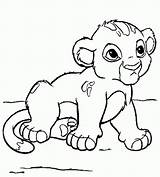 Simba Coloring Lion Pages King Baby Bebe Cub Dibujos Printable Choose Board Disney Clipartmag Getcolorings K5worksheets Cute Little sketch template