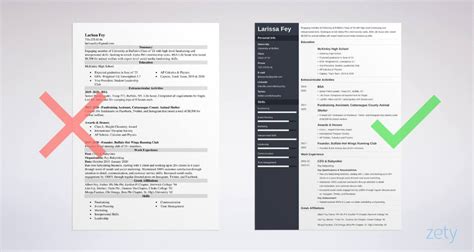 sorority resume template printable templates