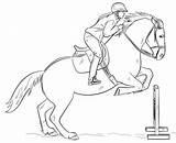Paard Ruiter Tekenen Dieren Downloaden sketch template