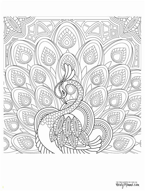 pin   adults coloring pages