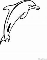 Dolfijnen Dieren sketch template
