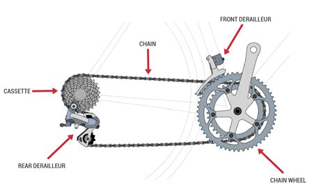 cycle gearing
