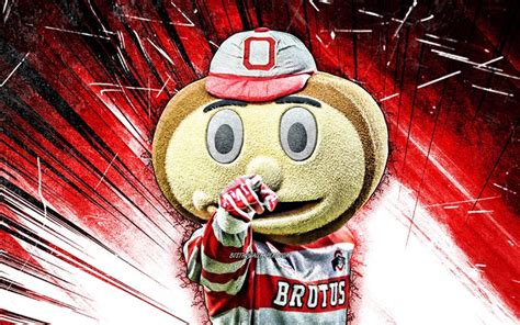 Download Wallpapers 4k Brutus Buckeye Grunge Art Mascot Ohio State