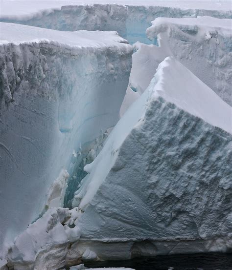 ocean waves  sea ice loss trigger antarctic ice shelf collapse