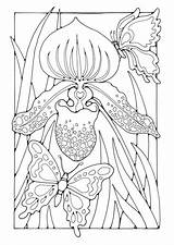 Coloring Butterflies Lily Large sketch template