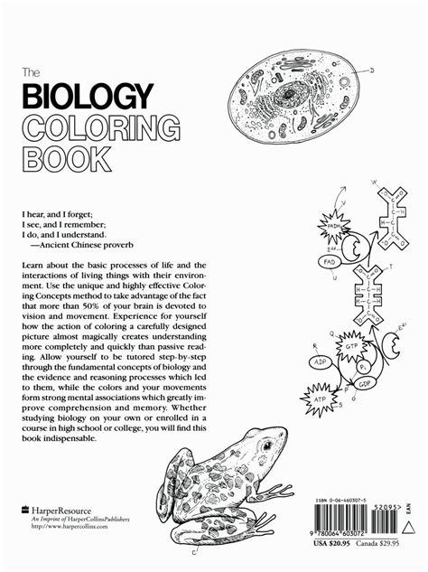 biology coloring book coloring books anatomy coloring book coloring