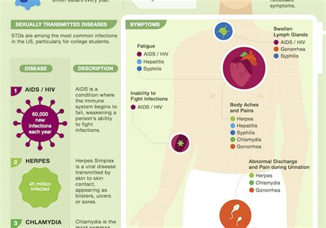 sexually transmitted diseases on the college campus infographic educational technology and