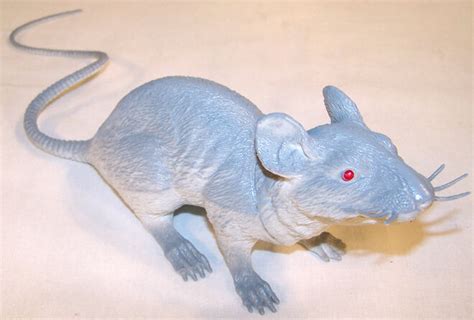 6 huge size grey rubber 17 in rat fake mouse play rats toy large mouse halloween ebay