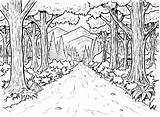 Forest Coloring Pages Enchanted Drawing Printable Choose Board Print Book sketch template