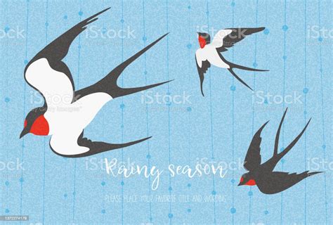 Illustration Material Of The Rainy Season Expressed By Swallows And