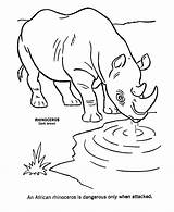 Coloring Rinoceronte Rhino Rhinoceros Coloringhome Honkingdonkey sketch template