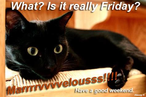What Is It Really Friday Have A Good Weekend Myspace