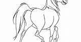 Spirit Horse sketch template