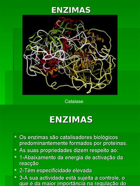 6g Enzimas Enzima Substancias Químicas