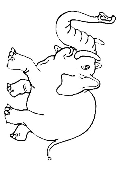 elephant coloring  animal coloring pages sheets elephant