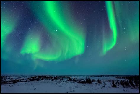 northern lights above the tundra virtual travel