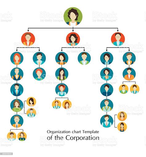 Organizational Chart Template Of The Corporation Business Hierarchy