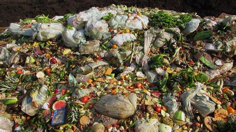 food waste piling