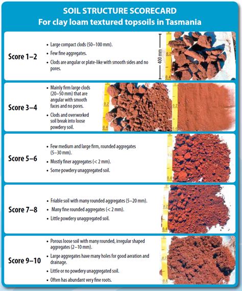 characteristics  soil types