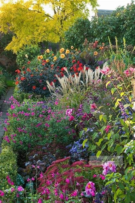 perennial plants  cottage gardens gardening viral