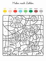 Hund Zahlen Malen Ausdrucken Junge Ausmalbild Farben Malvorlage Drucken Vorlage sketch template