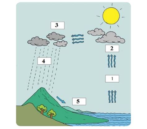 Gambar Proses Hujan Infografis Proses Di Balik Terjad