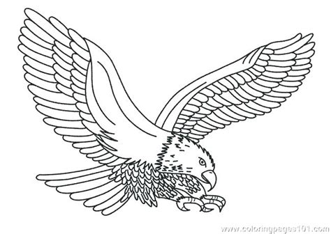 coloring pages   eagle  getcoloringscom  printable