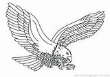 Eagle Coloring Pages Getcolorings Color Print sketch template