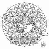 Cheetah Colouring Exotic Book Deviantart sketch template