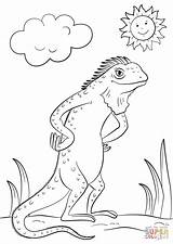 Coloring Cartoon Iguana Lizard Pages Printable A4 Categories Drawing sketch template