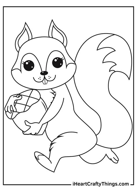 squirrel coloring pages  toddlers