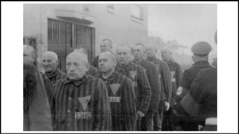 Holocaust Experiments On Homosexuals