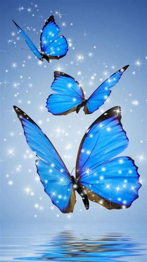 blue butterfly wallpaper  phone  butterfly wallpaper