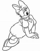 Duck Daisy Coloring Pages Print Donald Kids Popular Printable Library sketch template