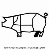 Presunto Porco sketch template
