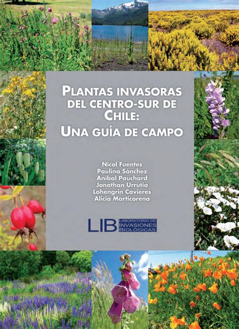 Plantas Invasoras Del Centro Sur De Chile Guia De Campo
