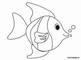Fish Coloring Tropical Baby Template Pages Printable Templates Para Color Maybe Print Felt Quilted Toy Use Coloringpage Eu Reddit Email sketch template