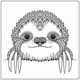 Sloth Coloring Face Pages Drawing Colouring Adult Outline Head Cute Drawings Animal Paintingvalley Use sketch template