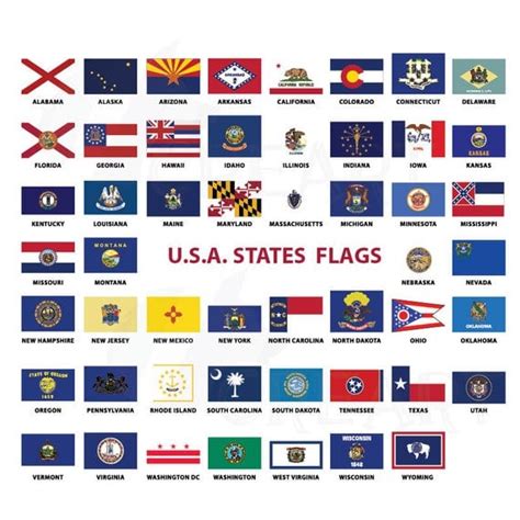 U S State And Territorial Flags Outdoor Eagle Flag