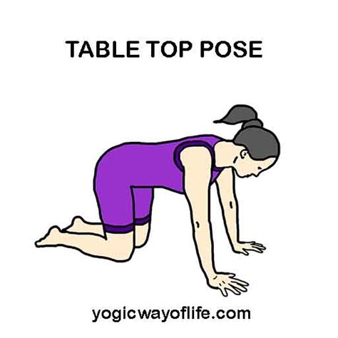 table top pose yogic   life
