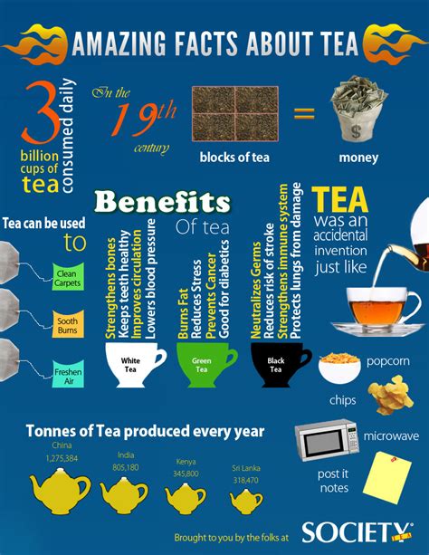 everything you need to know about tea 35 infographics