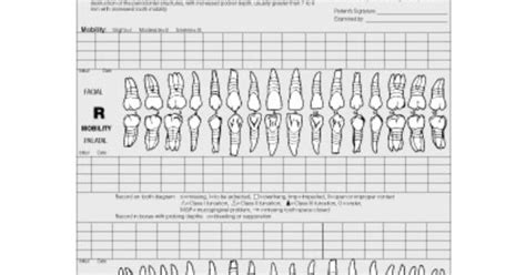 blank perio chart periodontal charting forms index  perio chart