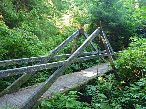 bridge   small creek damnation creek trail del norte coast redwoods state park california