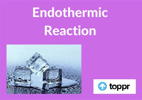 endothermic reaction exothermic reactions examples