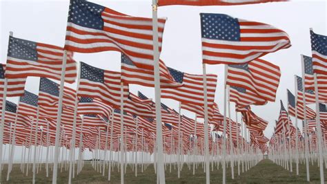 usa flags waving at fallen soldiers memorial stock video footage