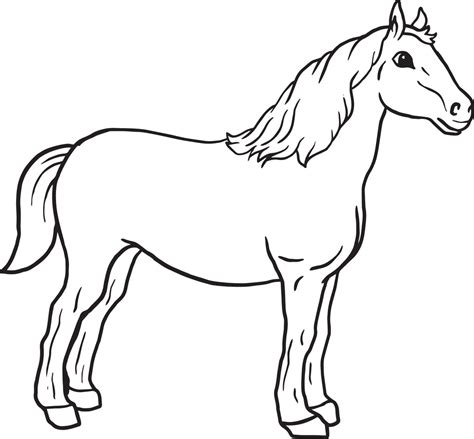 printable horse coloring page  kids supplyme