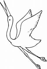 Colorare Gru Grullas Kranich Grulla Volo Disegni Birds Immagini Ausmalbilder Disegnare Cranes Drawings sketch template
