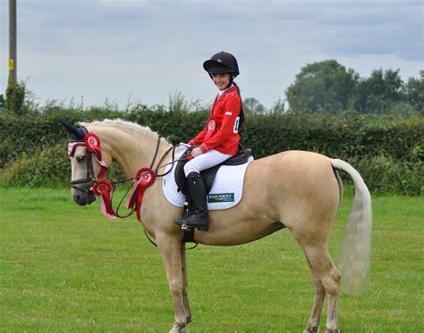 lillibet proves   top pony  scarlett equerry horsefeed