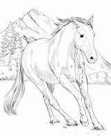 Coloring Paint American Horse Pages Printable Supercoloring Kids Horses Adult Print Cool Etsy Colouring Books Beautiful Baby Animal sketch template