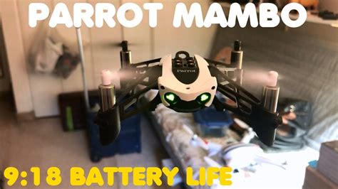 parrot mambo testing aftermarket battery  drone room  youtube